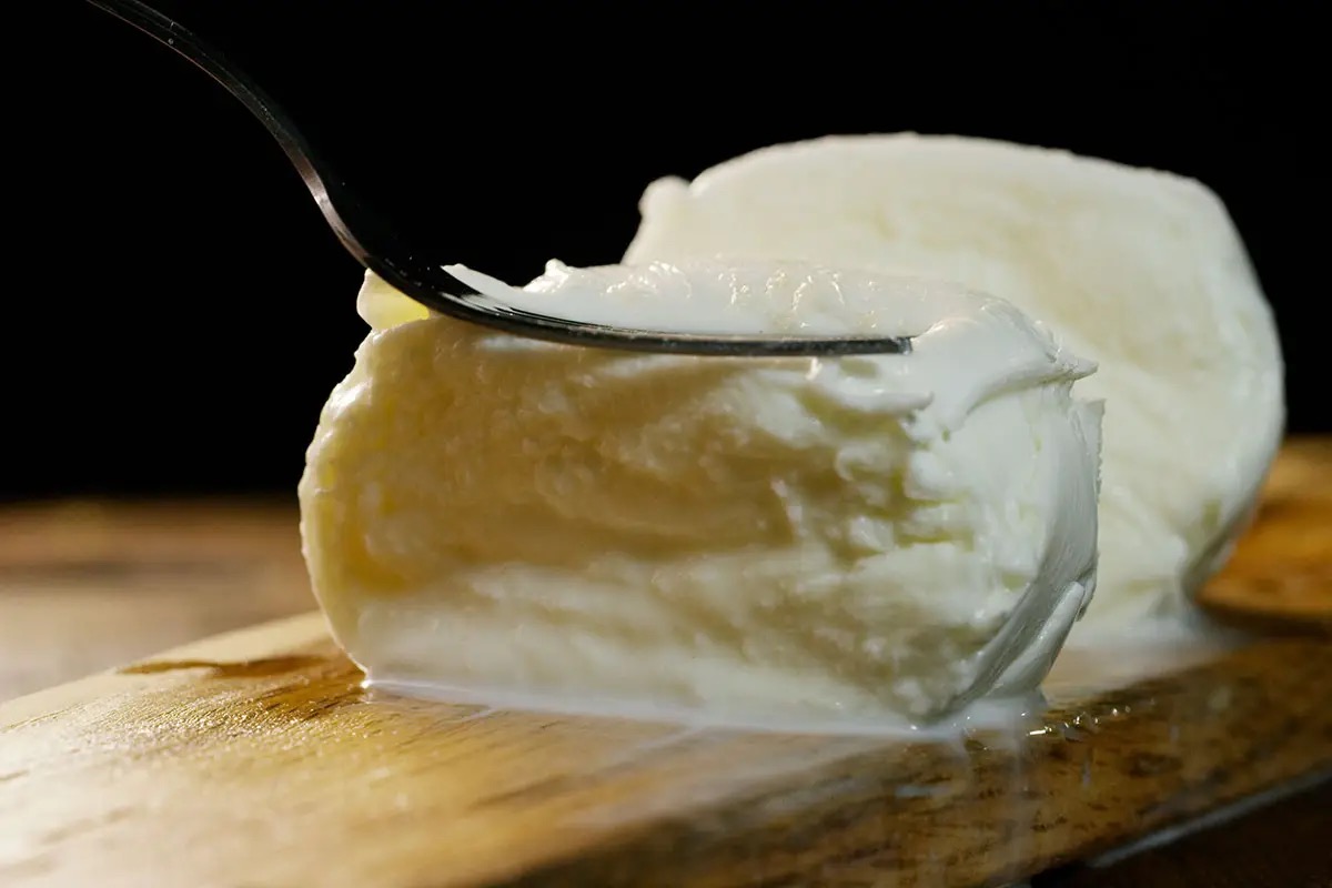 Frodi alimentari, si stringe la morsa anche sul latte di bufala: ecco cosa cambia