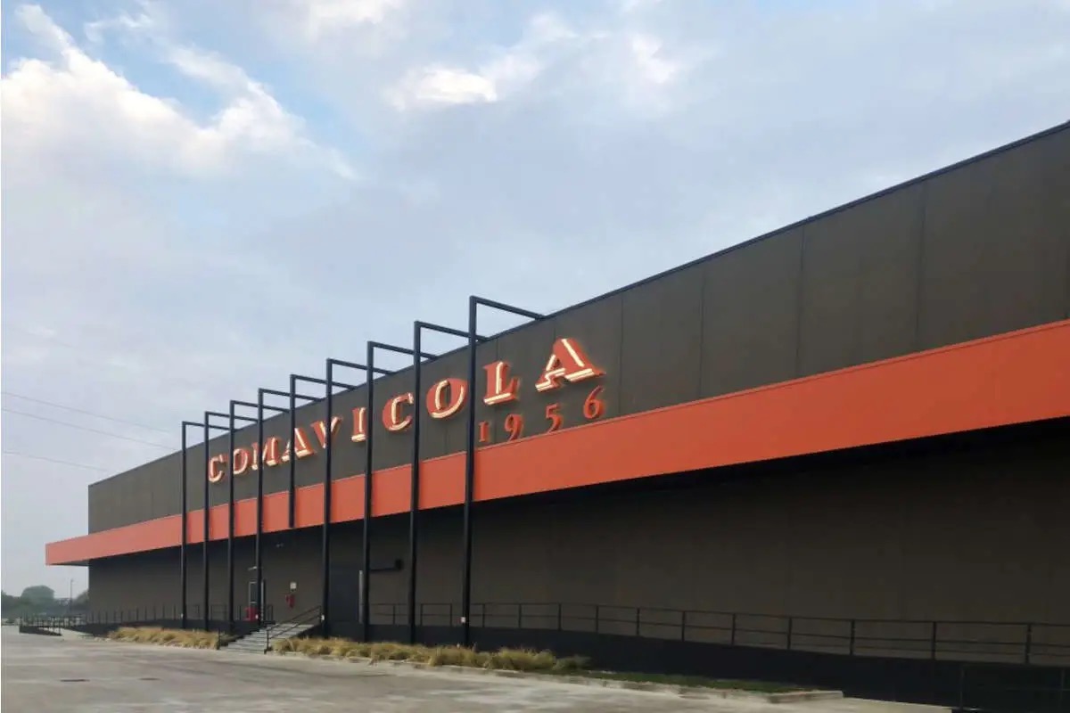 Dentro la “cattedrale del freddo”: cosa c’è dietro la crescita del frozen italiano