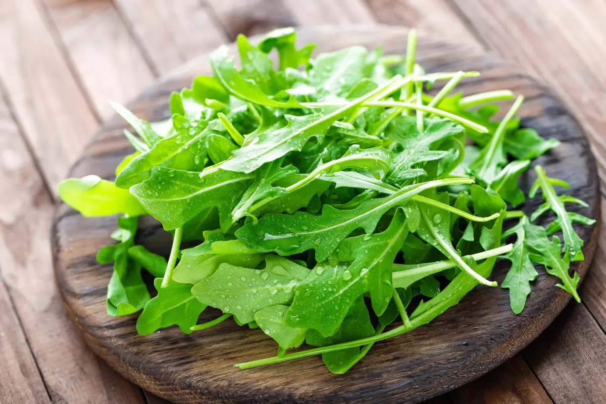 Ecco tutti i benefici della rucola, l'insalata dal gusto deciso
