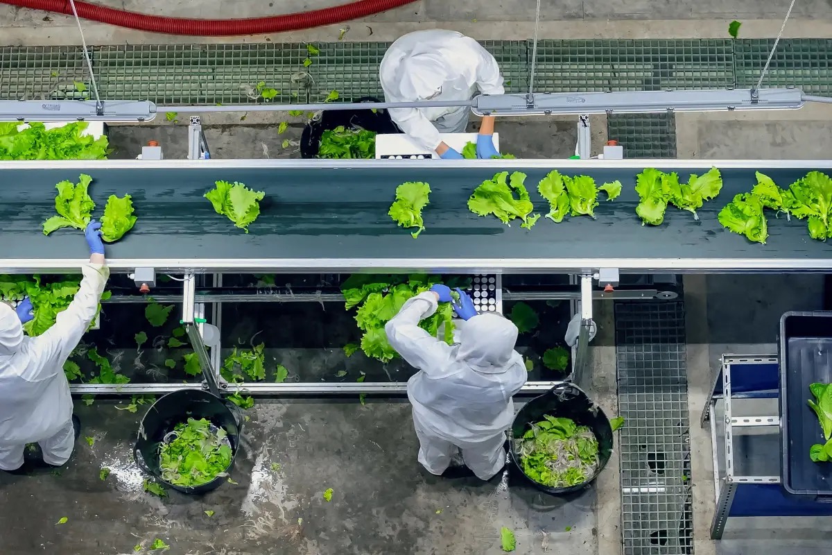  L'industria alimentare italiana tiene il passo: +2,6% e 58 miliardi di fatturato