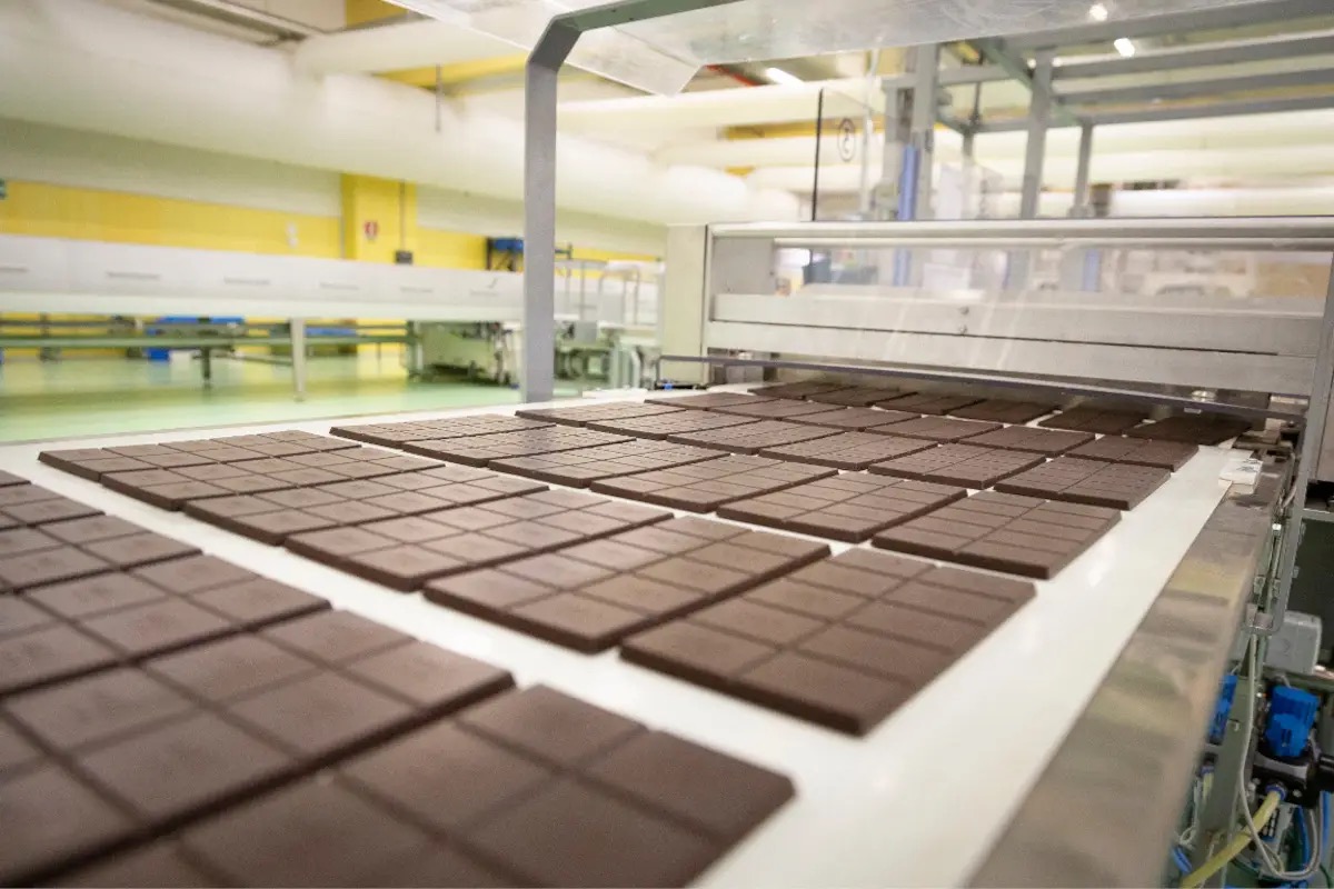 Icam cresce del 35% e rafforza ulteriormente la filiera del cacao