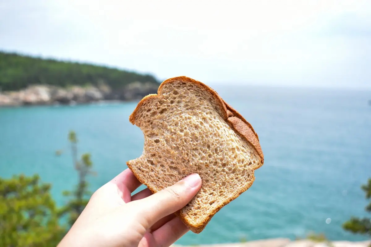  Continua l'estate degli scontrini pazzi: in Sardegna 40€ per insalata di riso e tramezzino