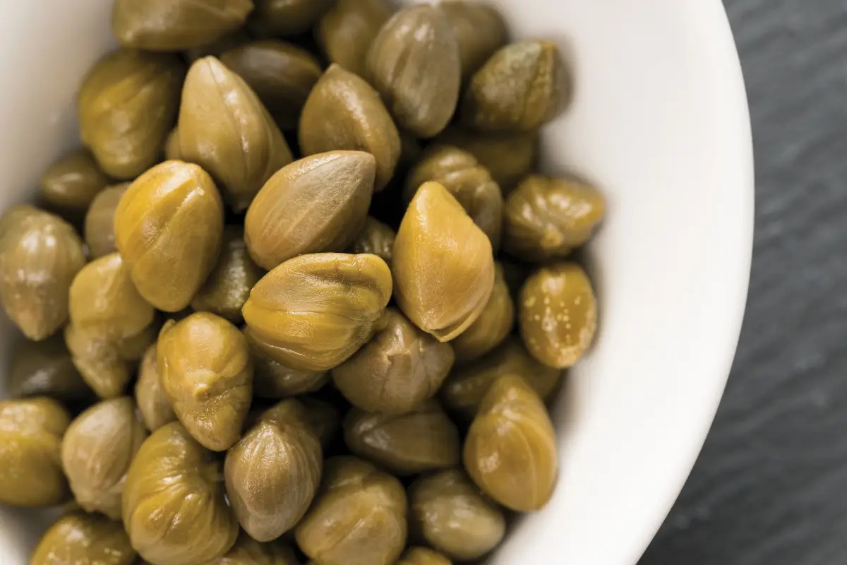  Il cappero di Pantelleria è a rischio: manca la manodopera per la raccolta