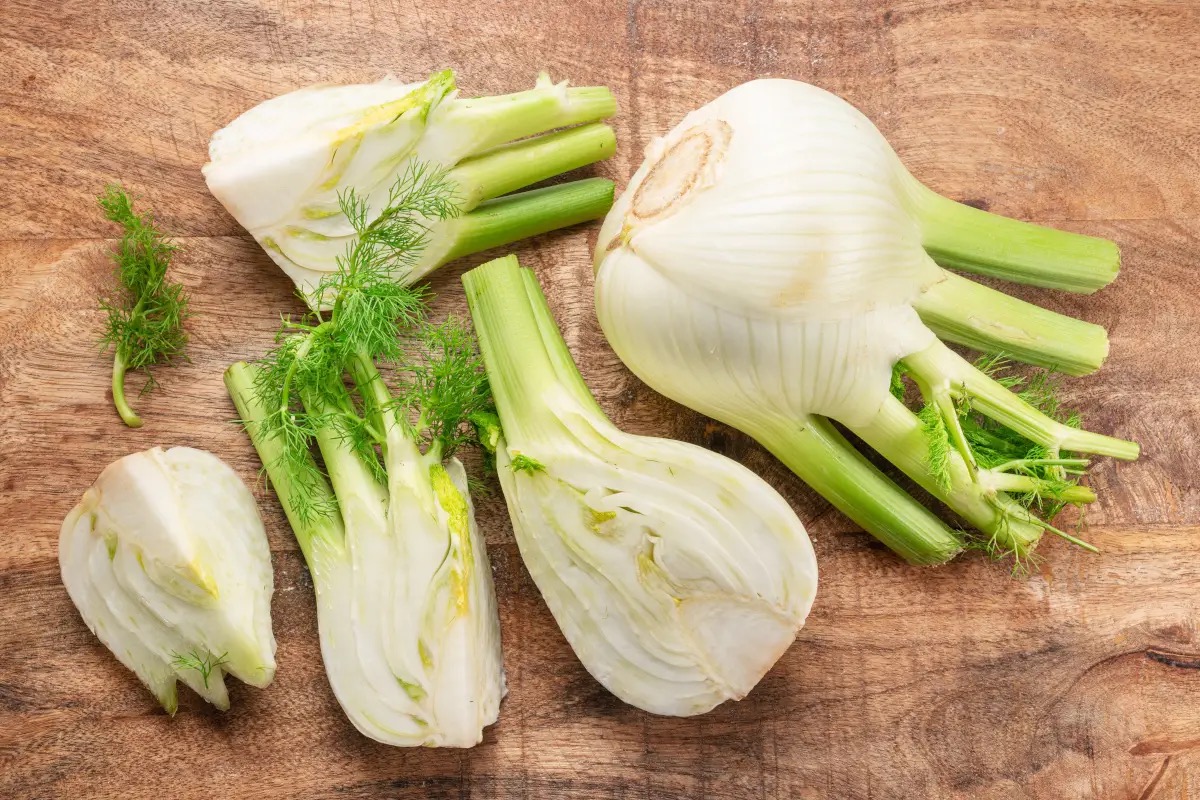 Finocchio, l’ortaggio versatile per piatti leggeri e nutrienti