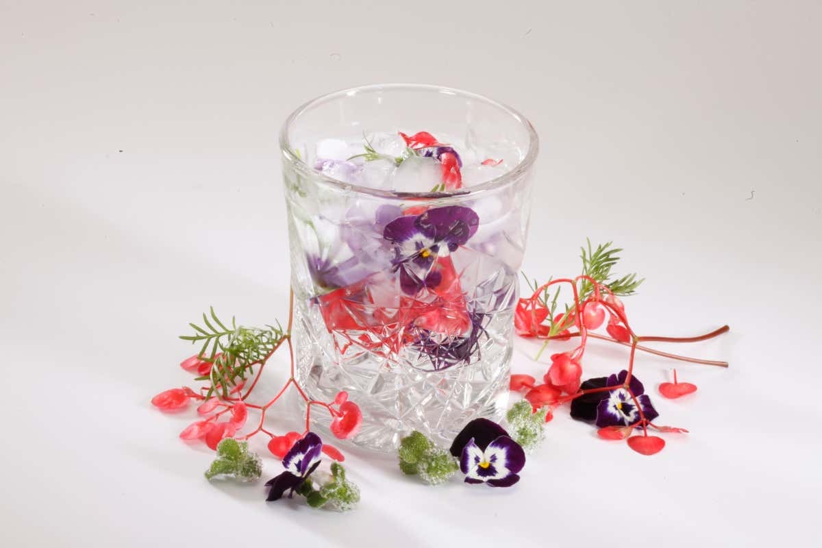 Il nuovo trend dei cocktail botanici: foglie, cress e fiori entrano nella mixology
