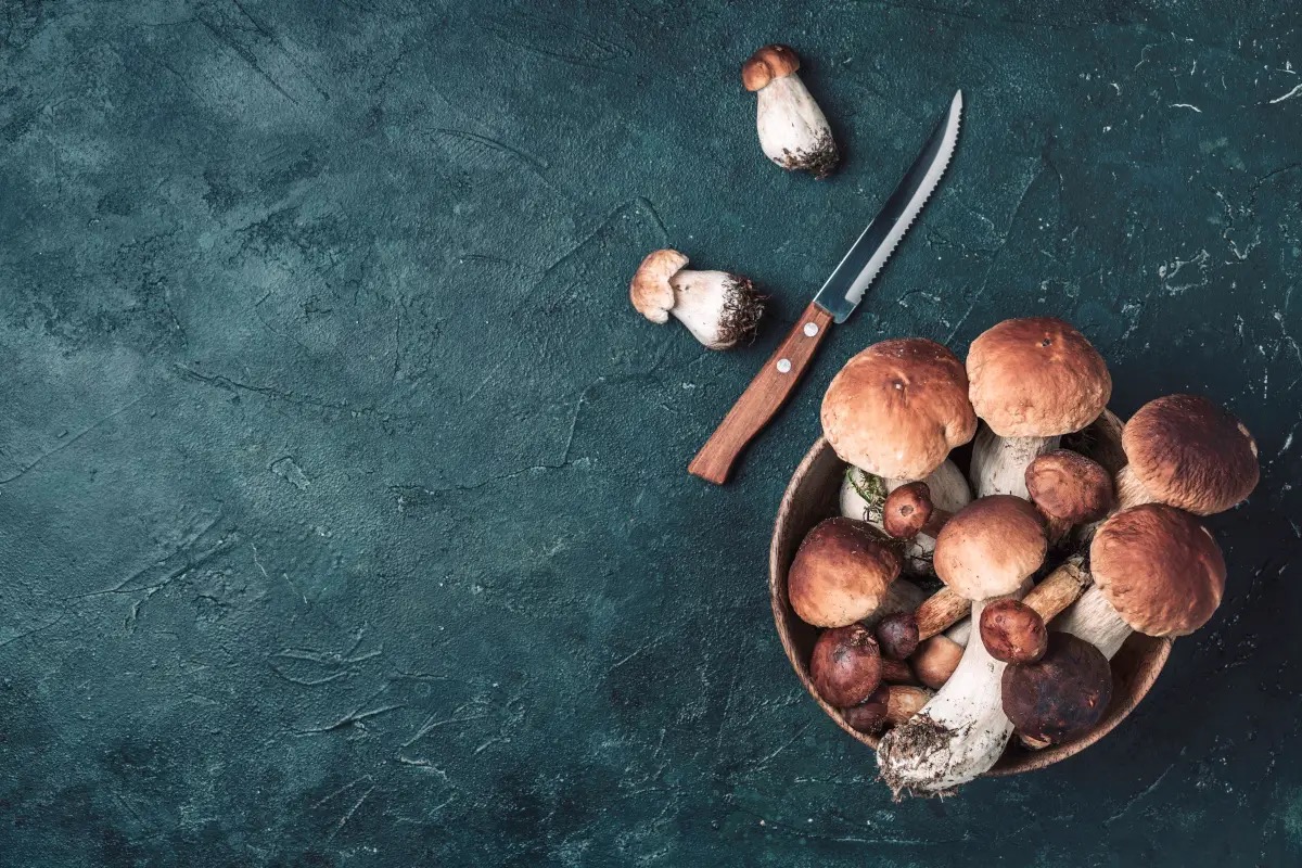  Il bosco nel piatto: come i grandi chef trasformano i funghi in arte