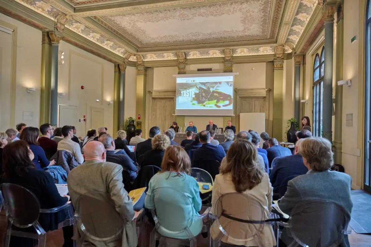 Taste Innovators: sette chef raccontano la patata Primura in chiave gourmet