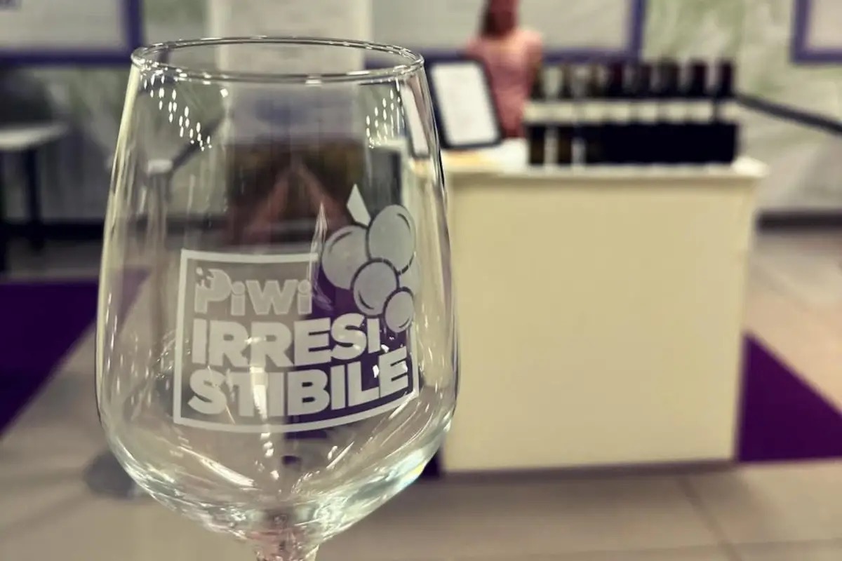 Irresistibile Piwi 2025 a Lazise: focus su vitigni resistenti e sostenibilità