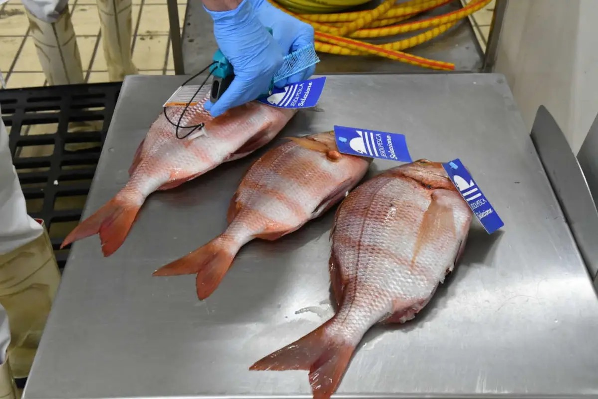 Cattel punta sulle private label: ecco perché valgono oltre il 13% del venduto