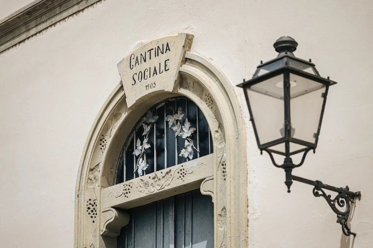 Terre d’Oltrepò, 19 milioni di euro dei soci rischiano di andare in fumo