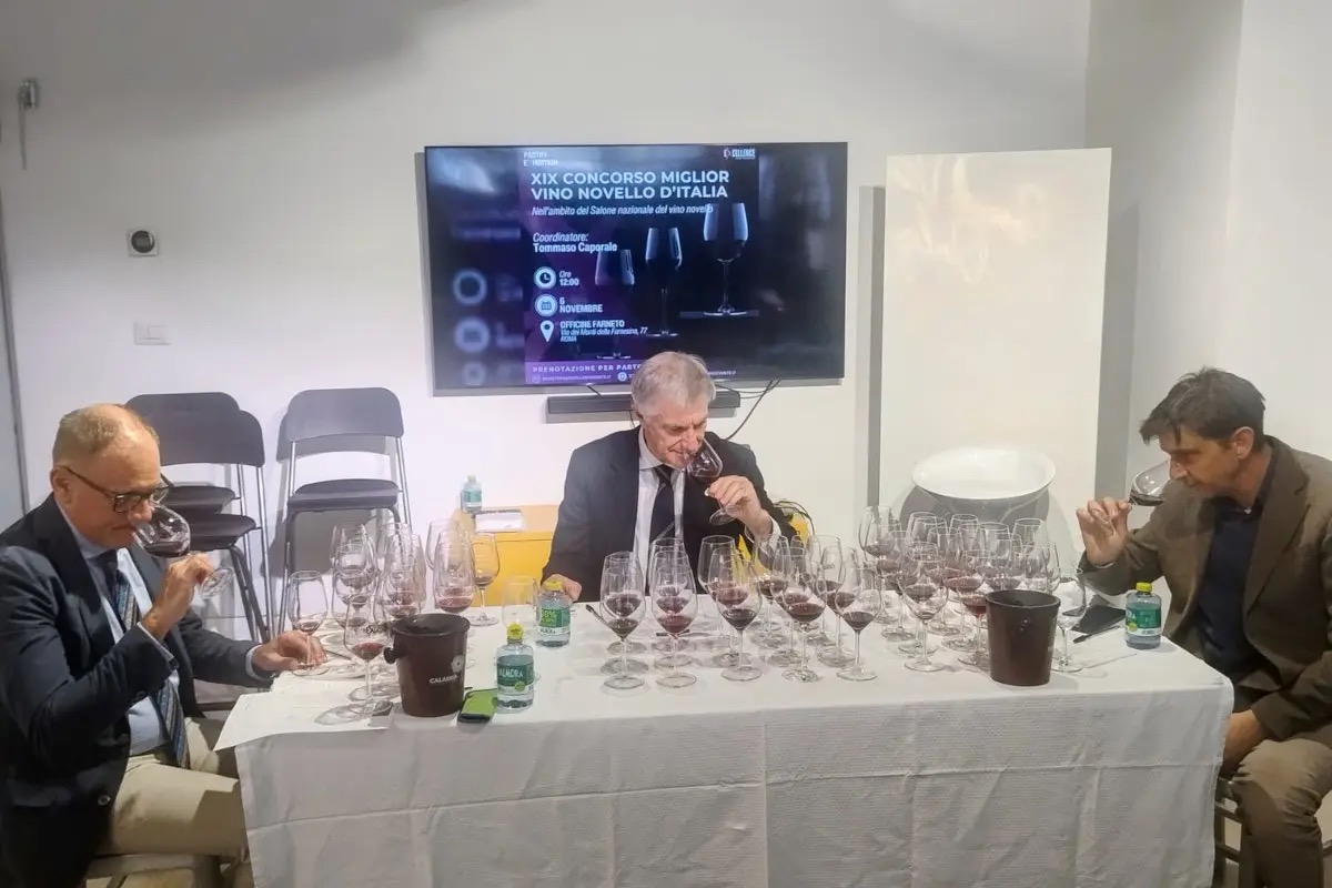 Vino novello, vince la Calabria: il “Cinurio” di Tramontata è il migliore italiano