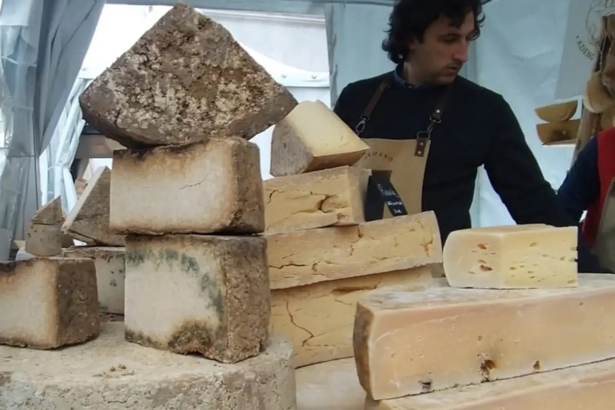 Un'edizione da 70mila visitatori: tutti i numeri di Formaggio in Villa 2025
