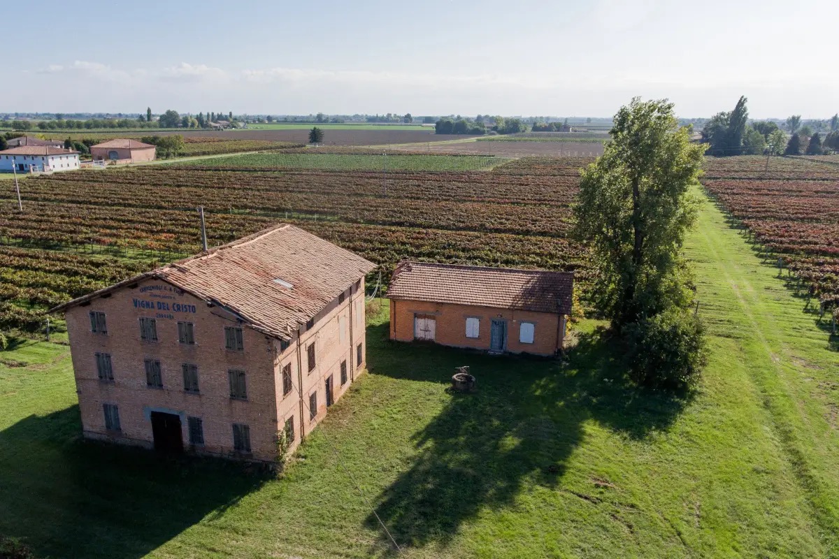 Cavicchioli: l'arte di ridefinire il Lambrusco, tra autenticità e territorio