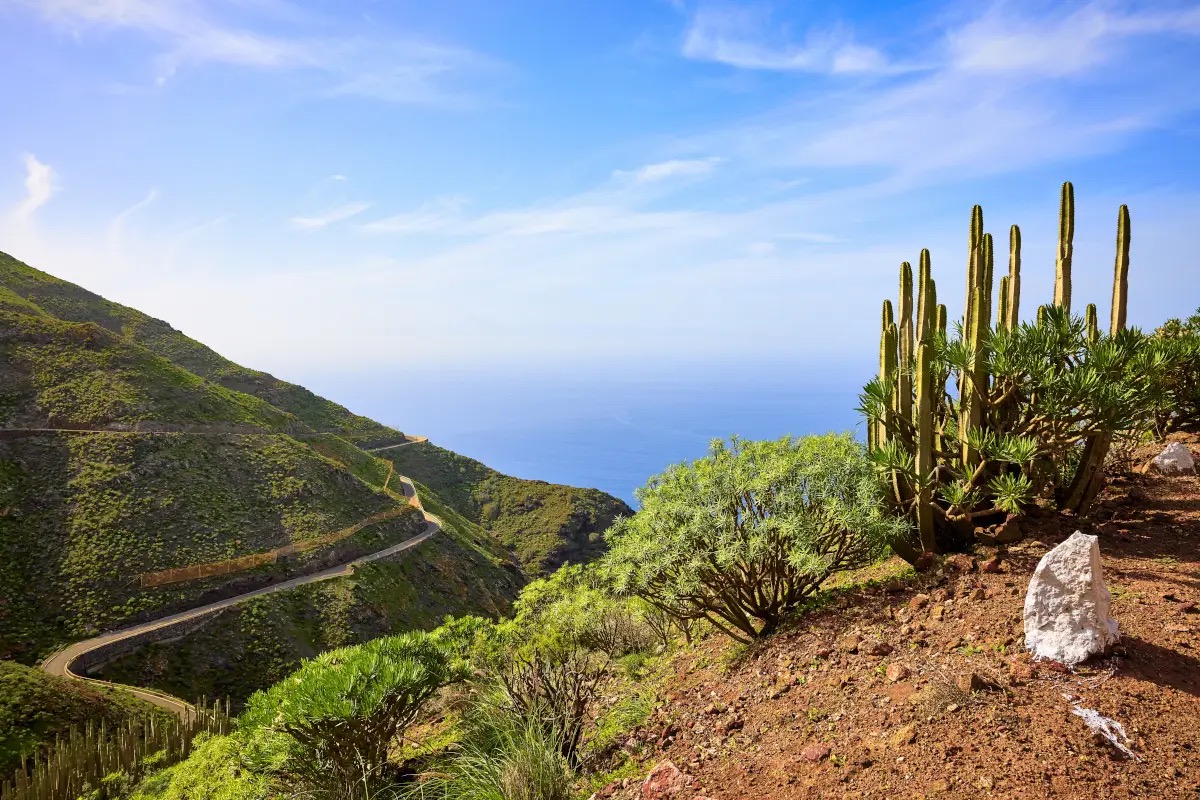 Gran Canaria segreta: itinerario tra arte, rum, natura e sapori locali 