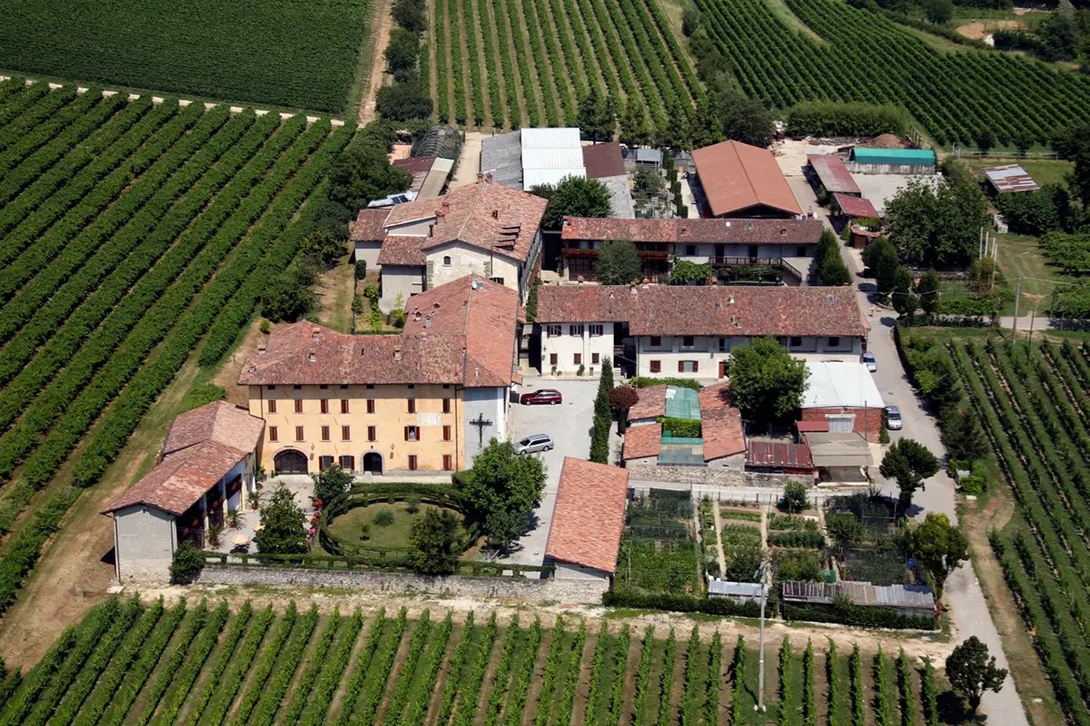 Valcalepio: il vino che conquista i palati anche d’autunno