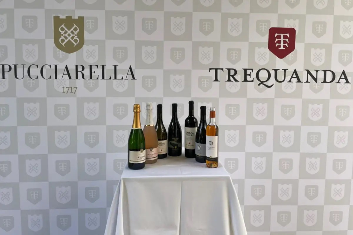 Fra vigne e storia, l’eleganza sostenibile di Pucciarella e Trequanda
