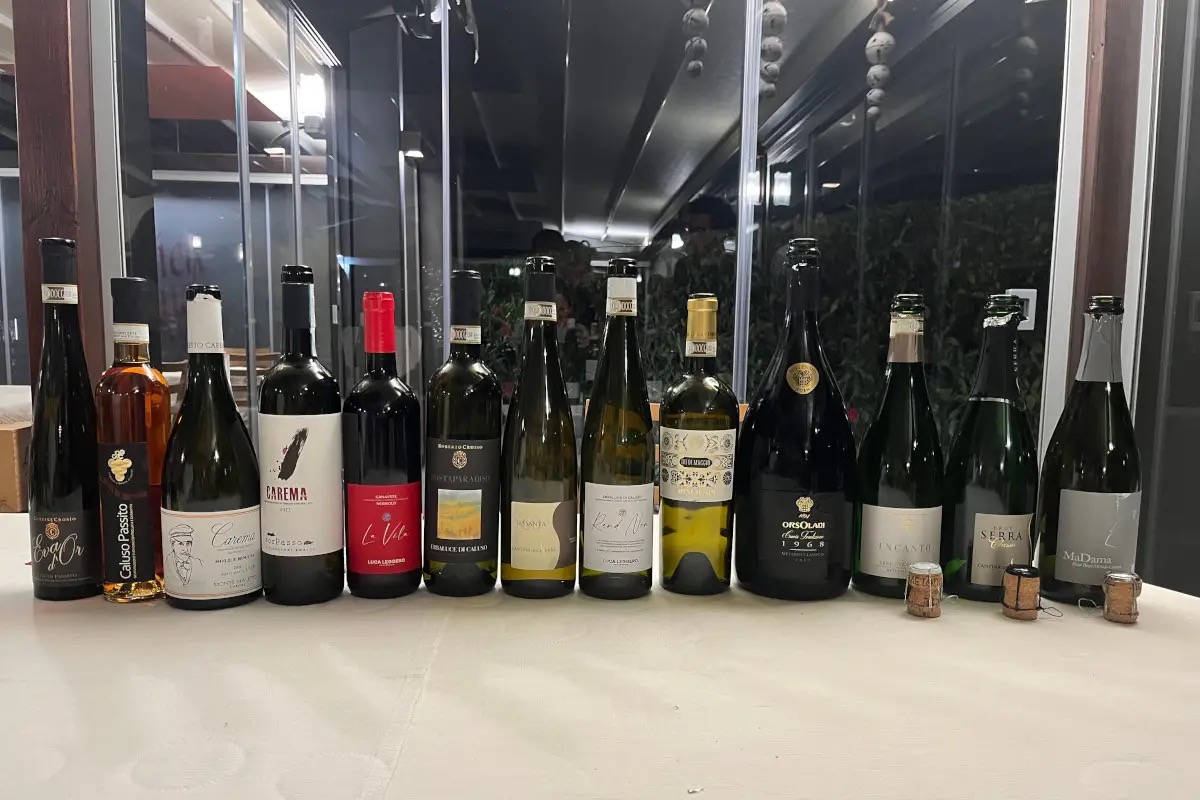 Alla scoperta delle denominazioni del vino del Canavese