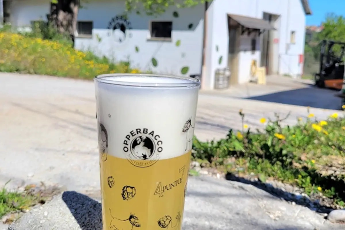 Dalla stalla all’agripub: come nasce un birrificio nei colli teramani