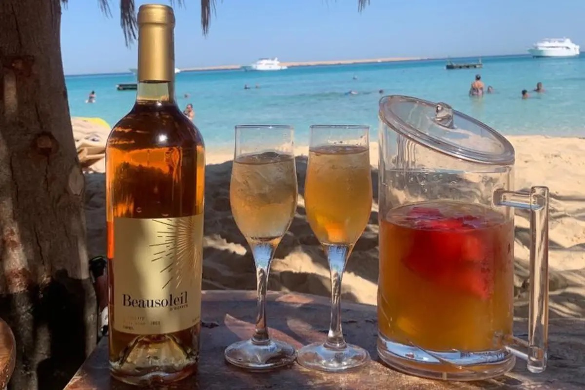 Dal Nilo al bicchiere: alla scoperta dei vini dell’Egitto