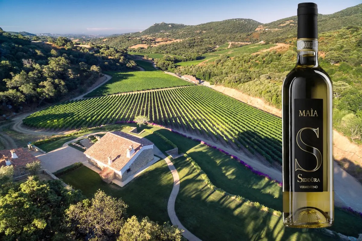 Vermentino, Sardegna vs Toscana: Siddùra Maìa trionfa per Decanter