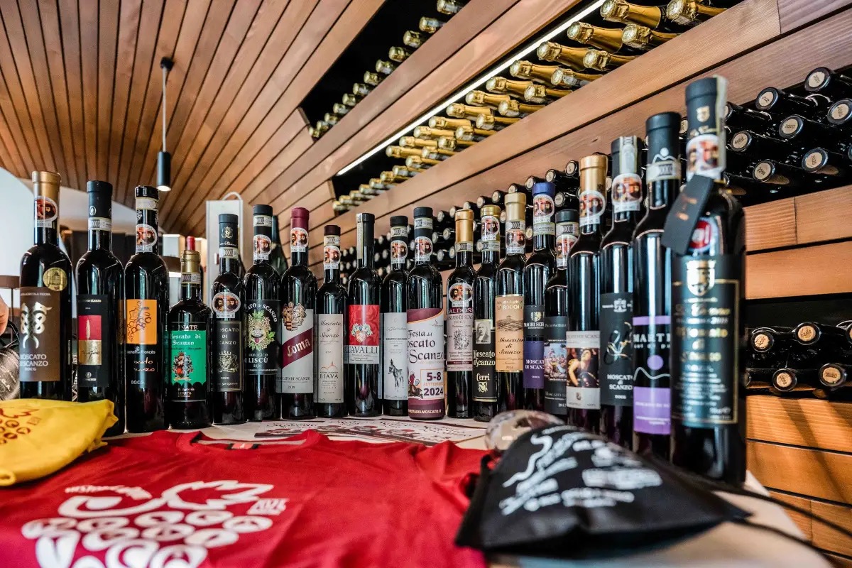 Radici del Sud, a Gioia del Colle premiati i vini della 20ª edizione