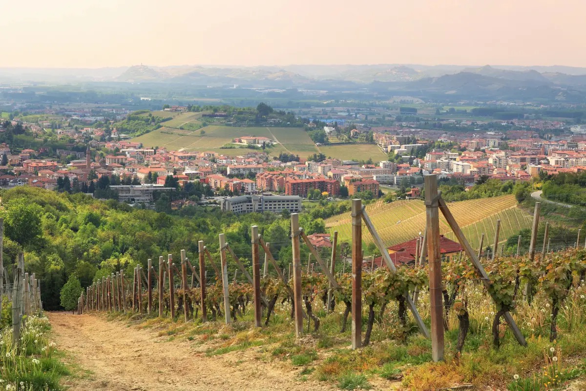  Città wine-friendly 2025: Alba capitale del vino italiano, ma il re del web è il Prosecco