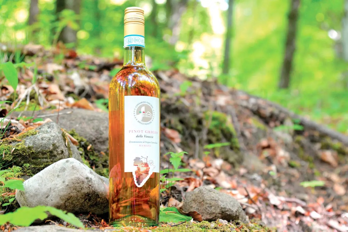 Il Pinot Grigio Delle Venezie corre con il Giro: sarà Official Wine della Corsa Rosa 2026