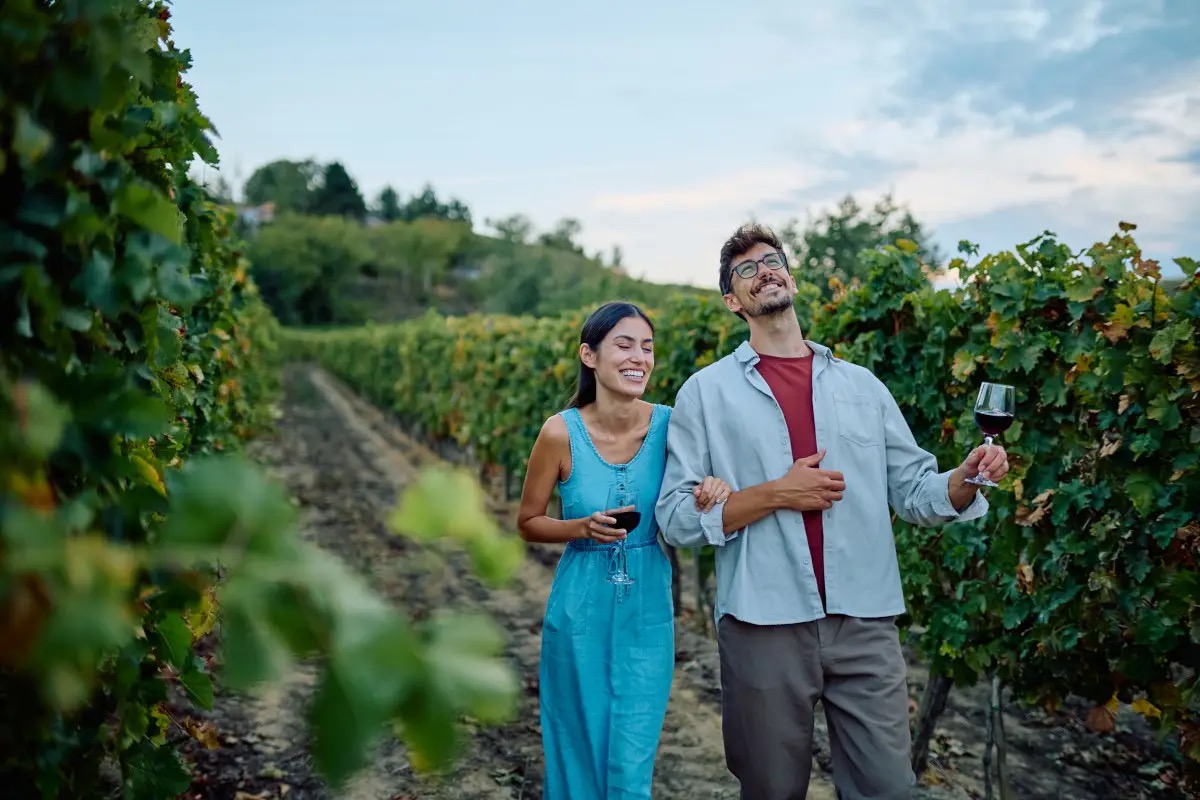  Un portale nazionale per il turismo del vino: la Lombardia fa da apripista