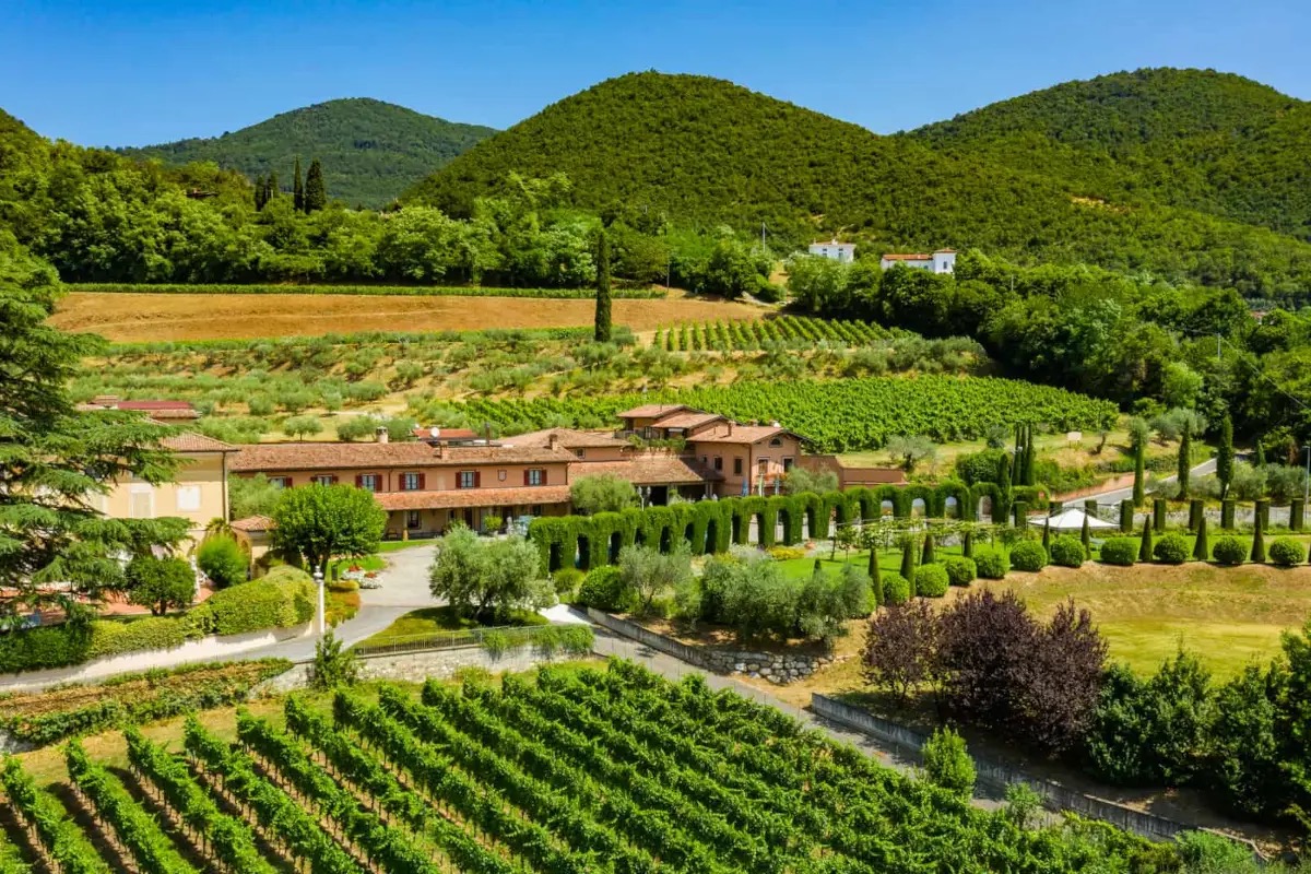 Il tempo come ingrediente segreto: i vini di Montina che sfidano le epoche