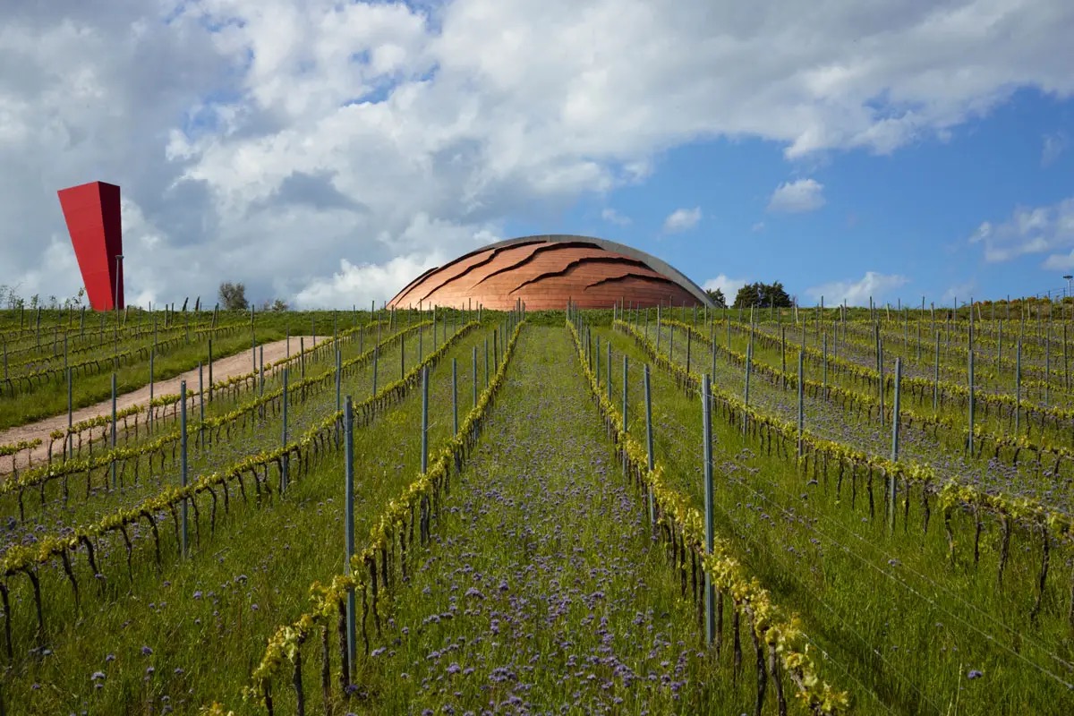 MetodoContemporaneo: il primo osservatorio italiano su arti e paesaggio vitivinicolo 