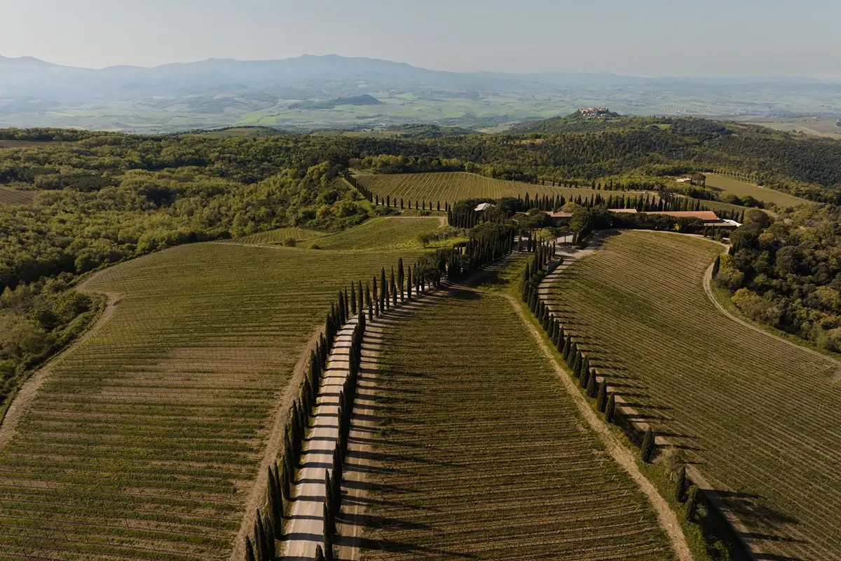 Freddo tardivo e maturazione lenta: i segreti dell’annata 2021 di Poggio Antico