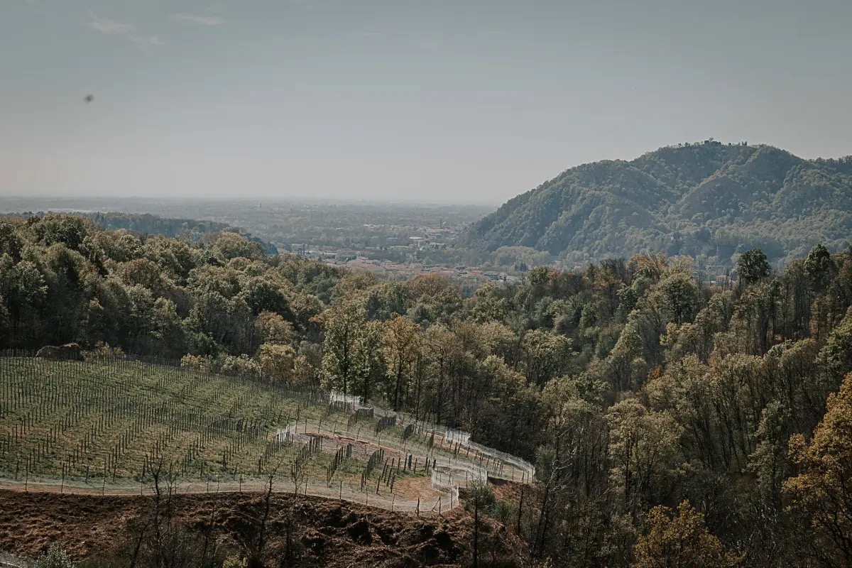 Nebbiolo e sorprese autoctone: viaggio tra i vini dell’Alto Piemonte