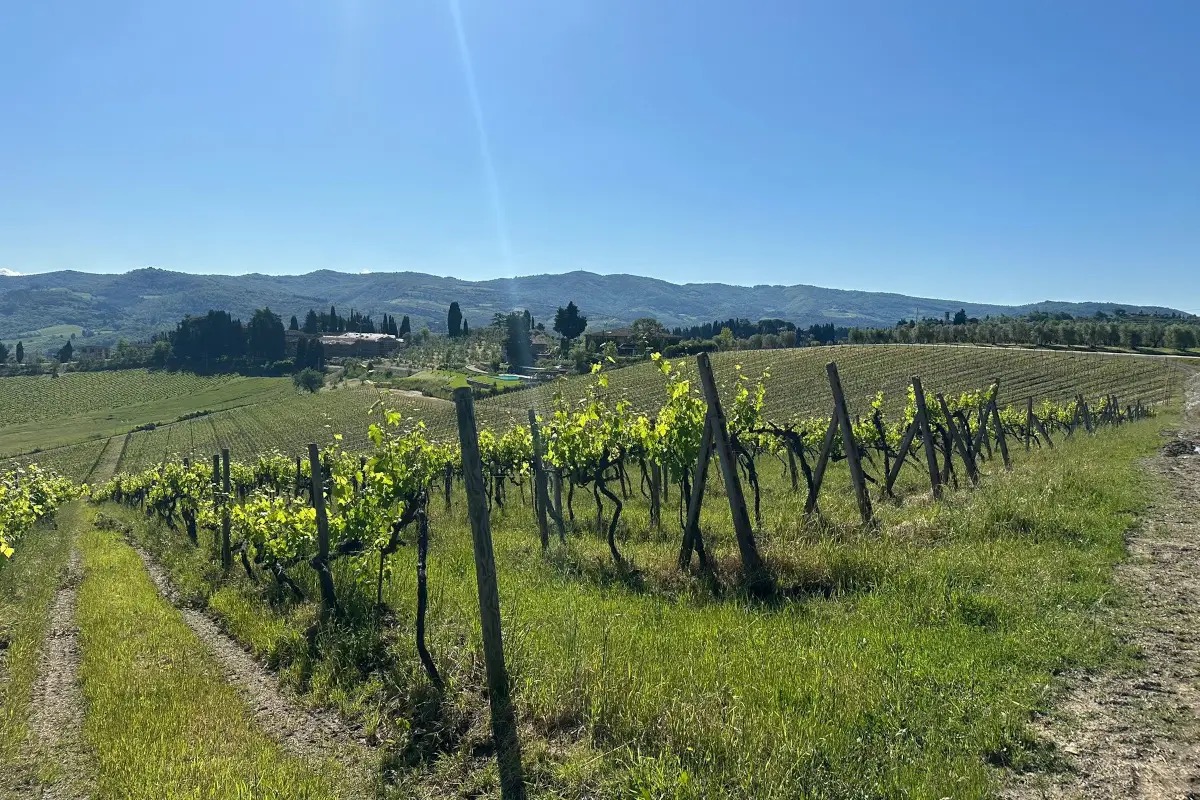 Tenute Folonari celebra le 40 vendemmie del Supertuscan Cabreo Il Borgo 