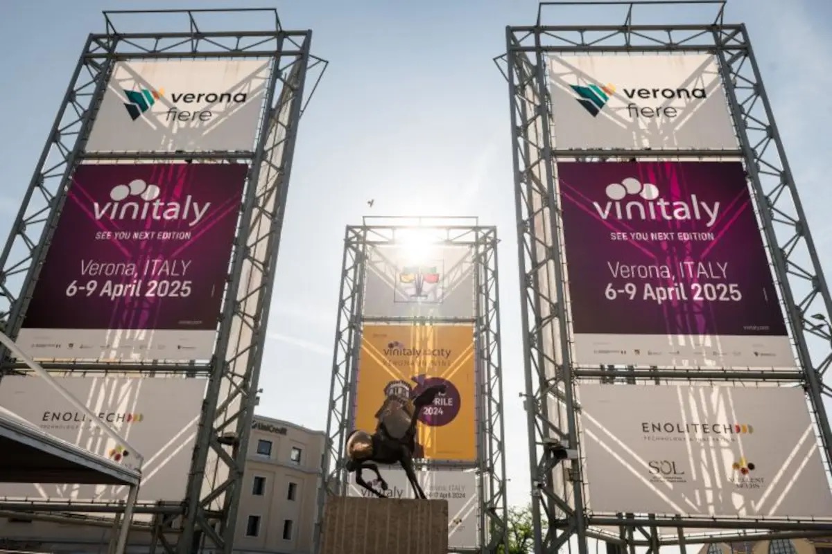 Etna, il gigante alle cui pendici nasce un'eccellenza vinicola