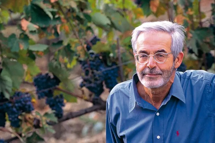 La Gerla: la cantina nata dal sogno di un ex pubblicitario di fare Brunello