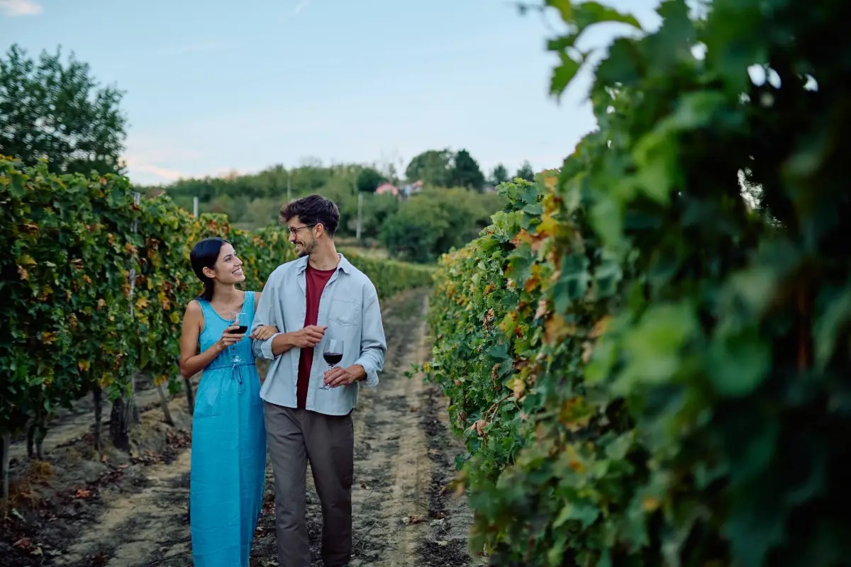  Il vino si è allontanato dalle persone. Ecco come può tornare a essere “vissuto”