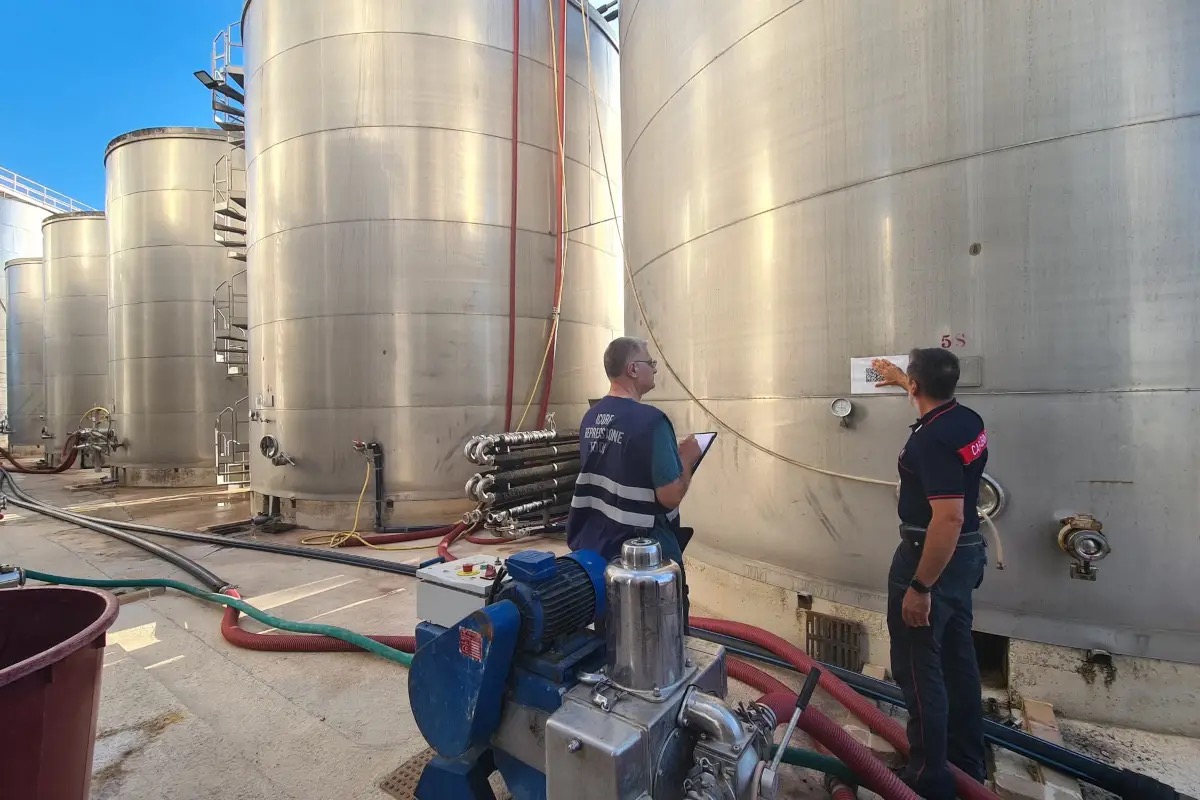 Blitz in Salento: sequestrati 1.500 quintali di vino sfuso etichettato “Primitivo Igp”