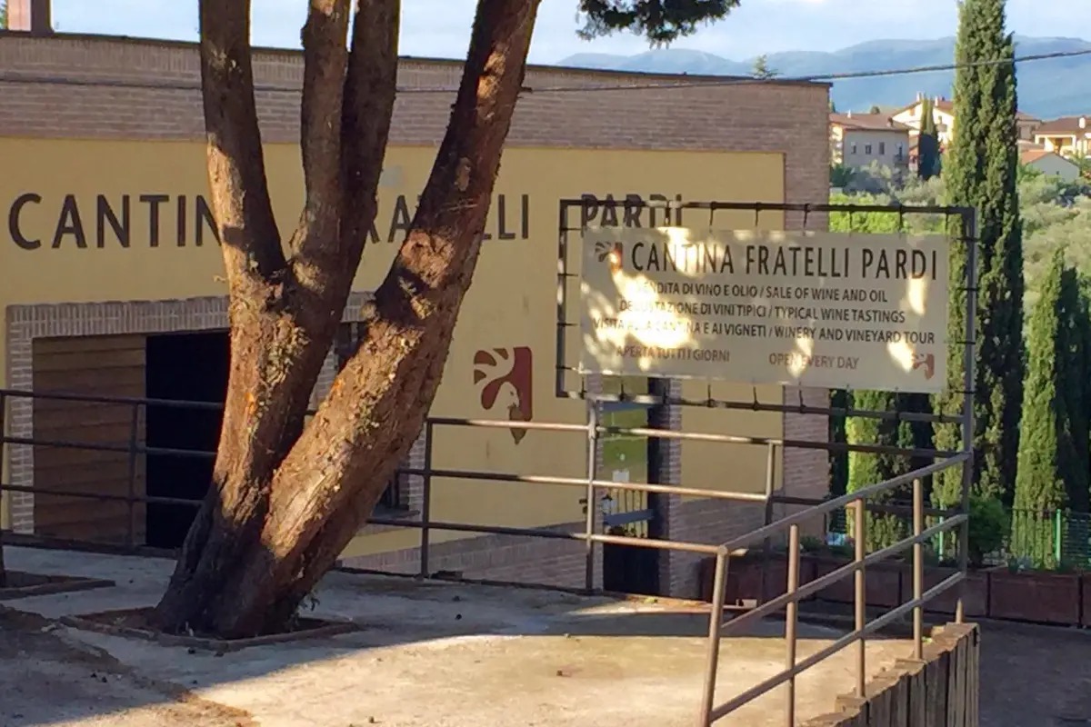 Fratelli Pardi: dalla bollicina al Sagrantino Passito, una collezione che racconta il territorio