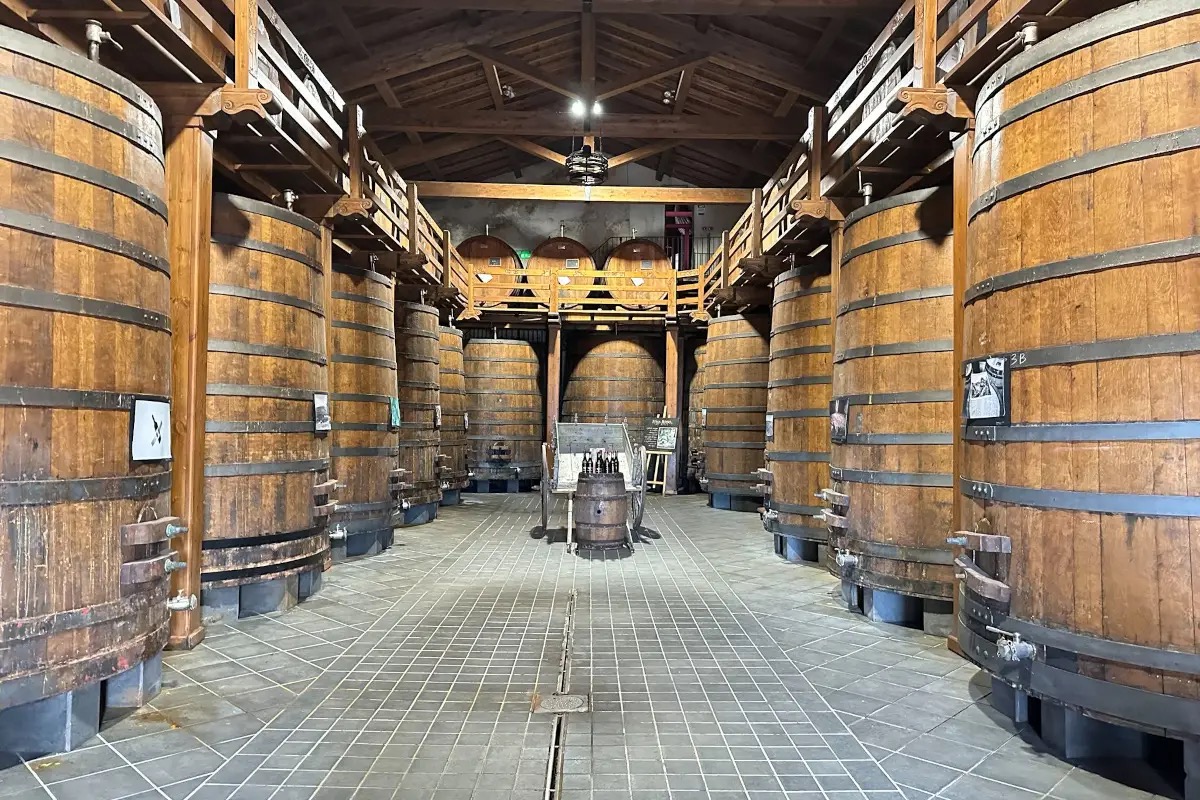 Cantine Patria, vini Etna Doc da vitigni autoctoni in un anfiteatro naturale