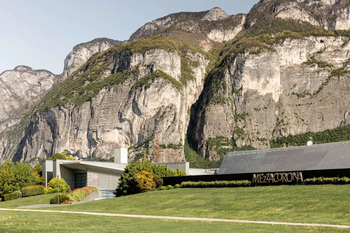 Il progetto vinicolo di Mezzacorona: qualità, export globale e sostenibilità