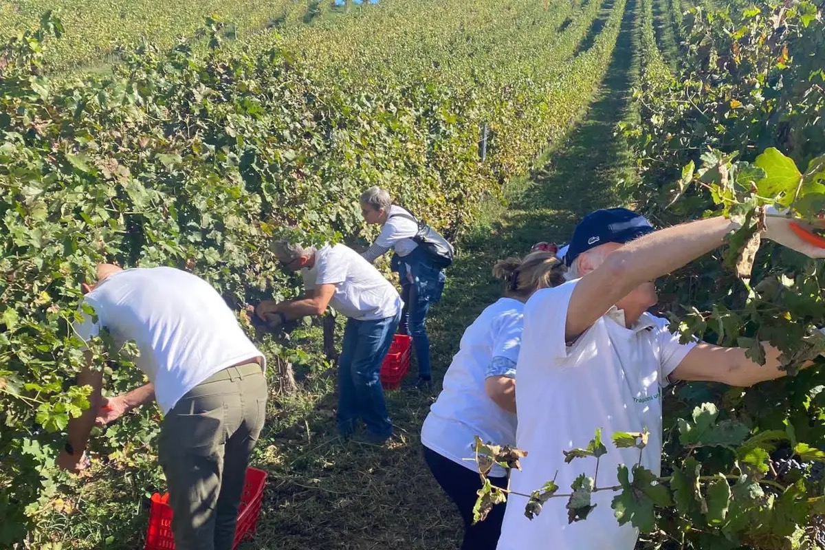 Terre d'Oltrepò, Collis più lontana. Il Comitato 107 chiede subito ristori a Regione