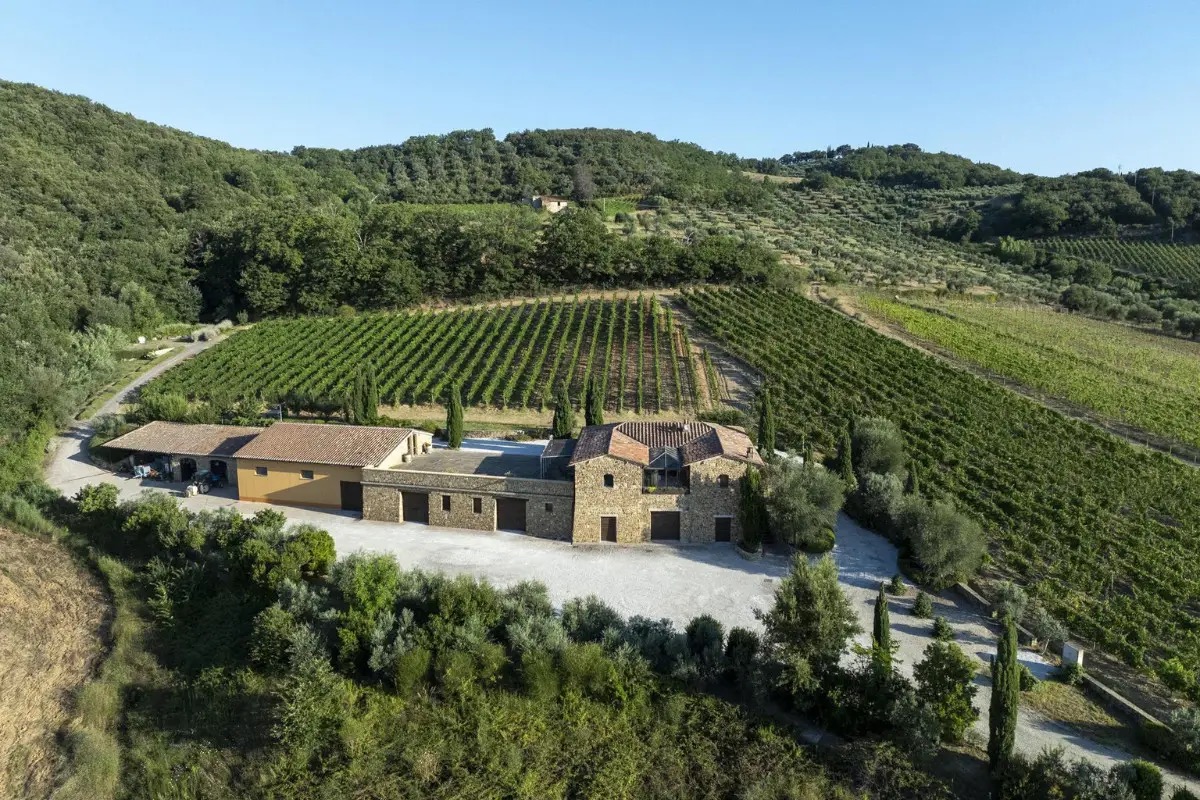 Cecchi, Brunello 2020 e Rosso 2023: le prime due etichette di Aminta svelate a Firenze