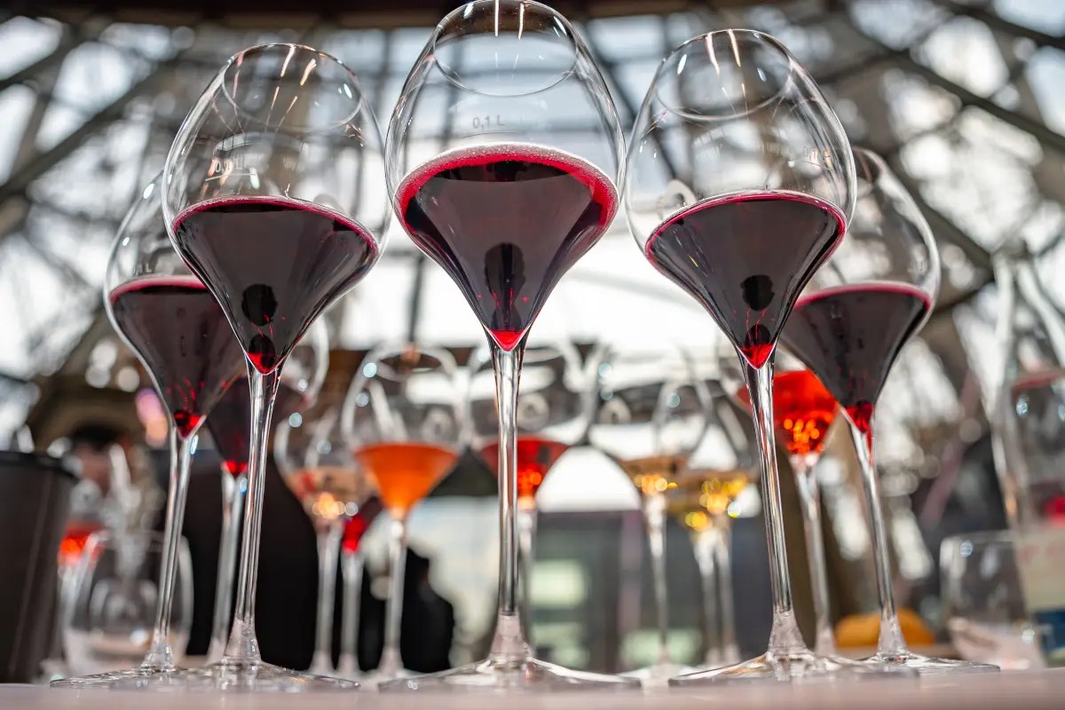  Modena e il vino: viaggio in quattro cantine dove nasce il Lambrusco