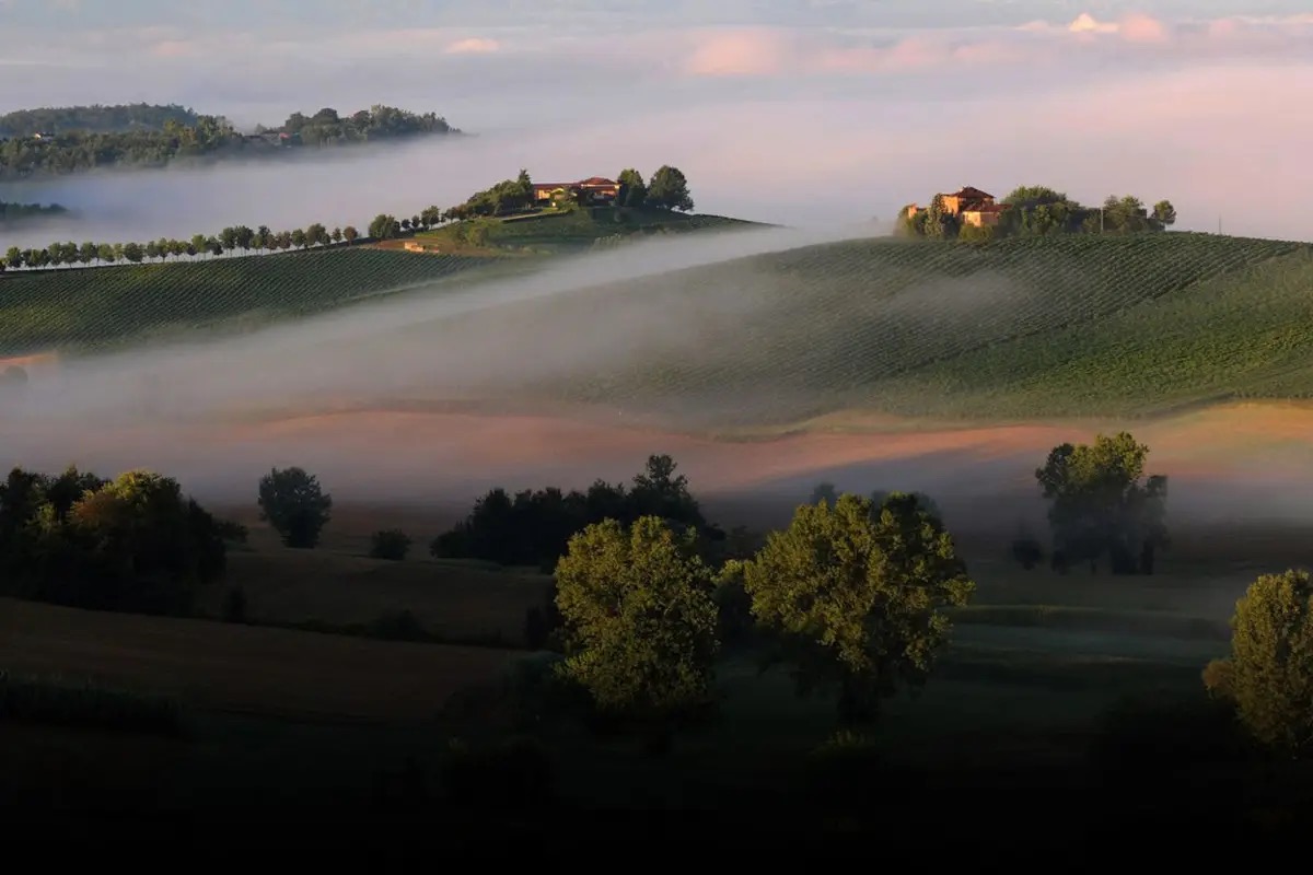 Indicazione geografica “Piemonte”: la strategia comune dei grandi vini regionali