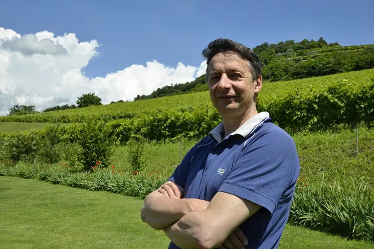 Monte Lessini, Soave e Colli Berici: i tre volti del vino di Gianni Tessari