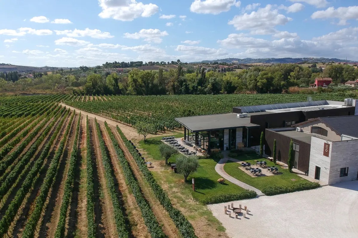 Enio Ottaviani Vini: la Romagna autentica tra vigneti, ospitalità e grandi etichette