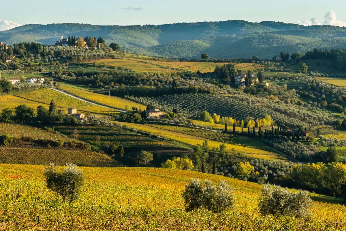  Tutte le sfumature del Chianti Classico nel territorio dell’Uga di Panzano