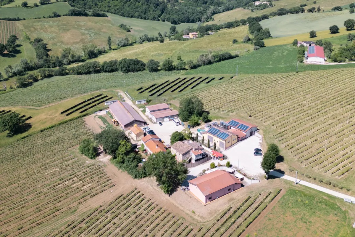 Borgo Paglianetto: 15 anni di storia e territorio nel Verdicchio di Matelica