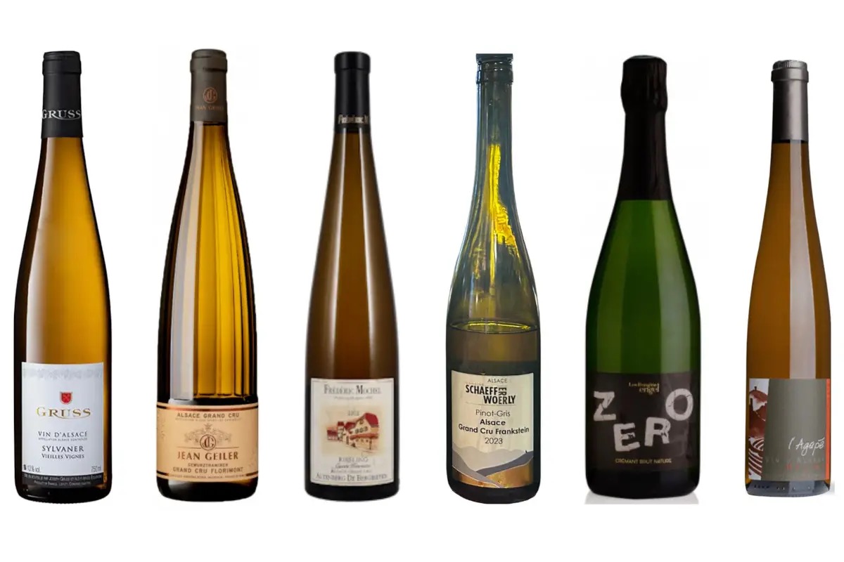 51 Grand Cru e un’identità in evoluzione: in Alsazia ogni collina racconta un vino diverso