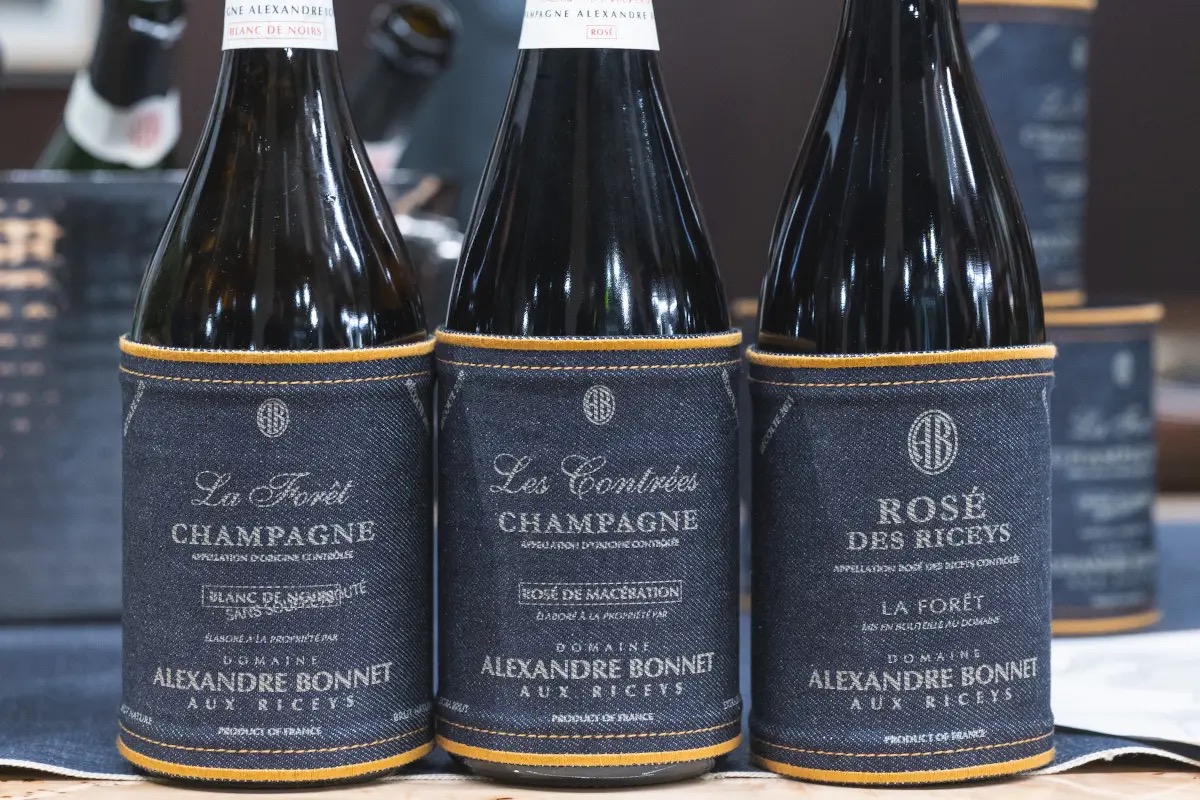 Cocconato: dove il vino racconta la storia del Monferrato